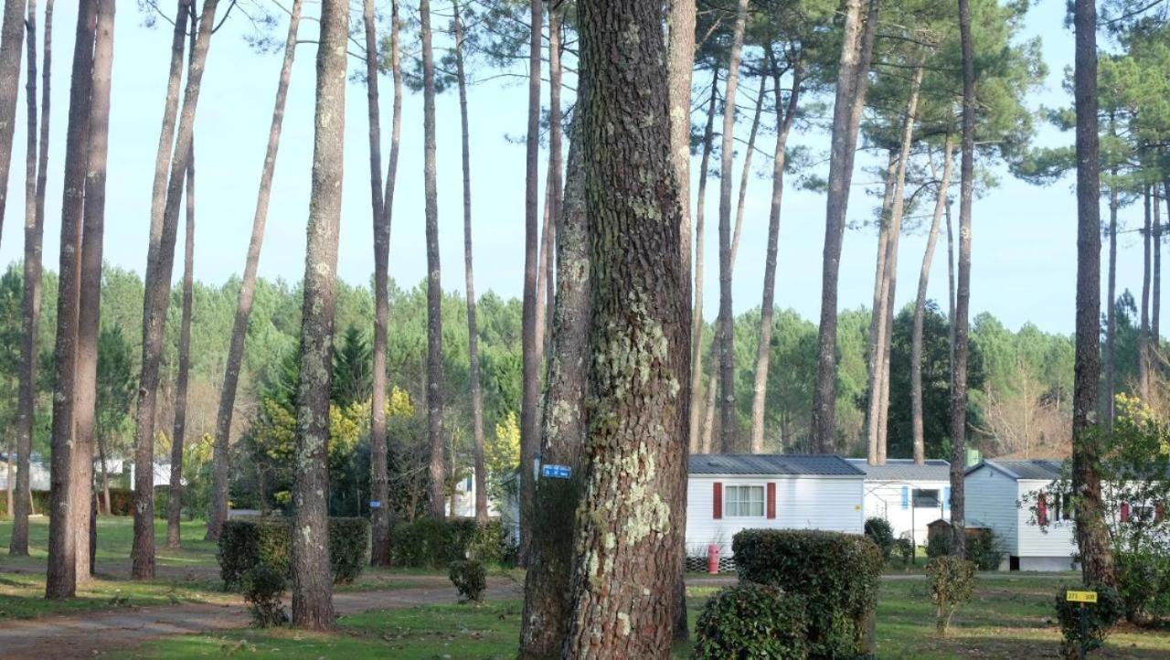 Mobil Home Rainbow, Camping Les Dunes De Contis Saint-Julien-en-Born Pokoj fotografie